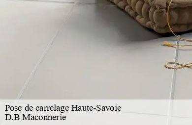 Pose de carrelage 74 Haute-Savoie  D.B Maconnerie
