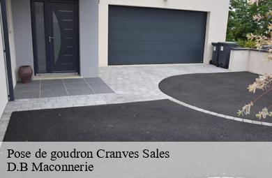 Pose de goudron