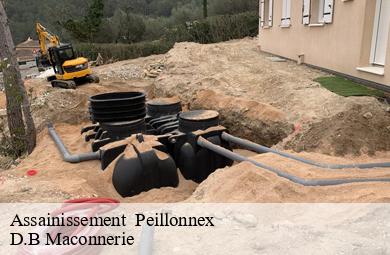Assainissement   peillonnex-74250 D.B Maconnerie