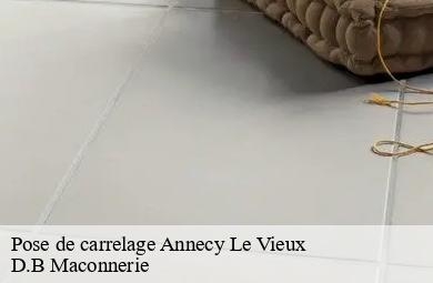 Pose de carrelage  annecy-le-vieux-74940 D.B Maconnerie