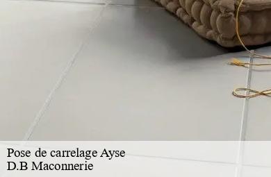 Pose de carrelage  ayse-74130 D.B Maconnerie