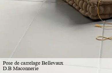 Pose de carrelage  bellevaux-74470 D.B Maconnerie