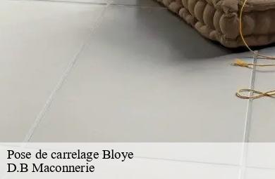 Pose de carrelage  bloye-74150 D.B Maconnerie