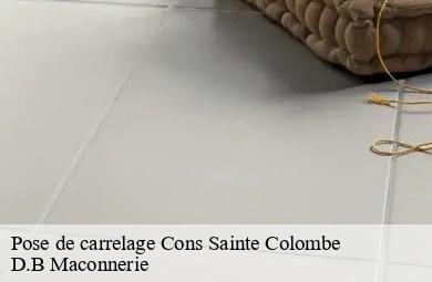 Pose de carrelage  cons-sainte-colombe-74210 D.B Maconnerie