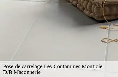 Pose de carrelage  les-contamines-montjoie-74170 D.B Maconnerie