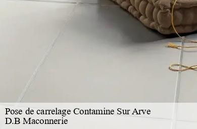 Pose de carrelage  contamine-sur-arve-74130 D.B Maconnerie