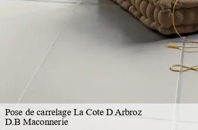 Pose de carrelage  la-cote-d-arbroz-74110 D.B Maconnerie