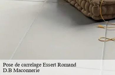 Pose de carrelage  essert-romand-74110 D.B Maconnerie