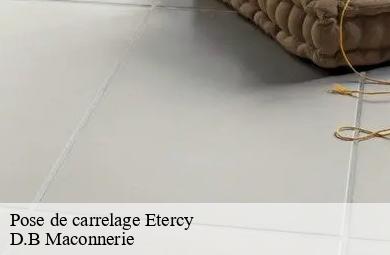Pose de carrelage  etercy-74150 D.B Maconnerie