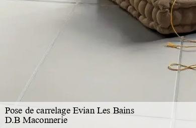 Pose de carrelage  evian-les-bains-74500 D.B Maconnerie