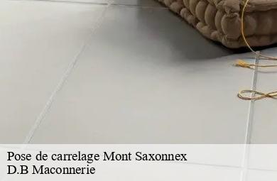 Pose de carrelage  mont-saxonnex-74130 D.B Maconnerie