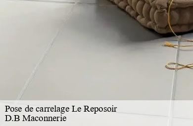 Pose de carrelage  le-reposoir-74950 D.B Maconnerie