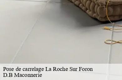 Pose de carrelage  la-roche-sur-foron-74800 D.B Maconnerie