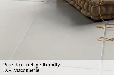 Pose de carrelage  rumilly-74150 D.B Maconnerie