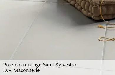 Pose de carrelage  saint-sylvestre-74540 D.B Maconnerie