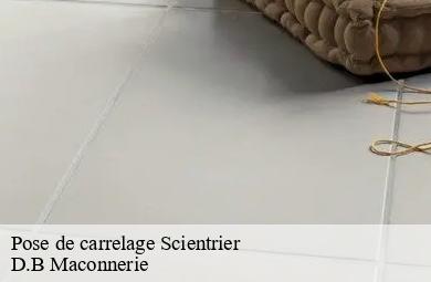 Pose de carrelage  scientrier-74930 D.B Maconnerie