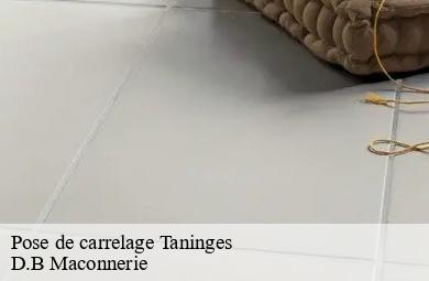 Pose de carrelage  taninges-74440 D.B Maconnerie