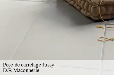Pose de carrelage  jussy-74350 D.B Maconnerie