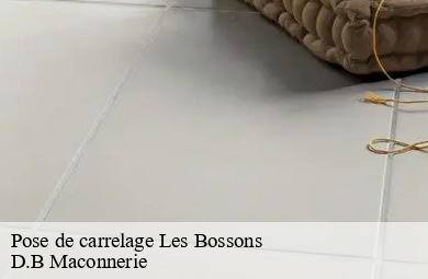 Pose de carrelage  les-bossons-74400 D.B Maconnerie