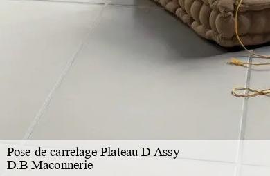 Pose de carrelage  plateau-d-assy-74480 D.B Maconnerie