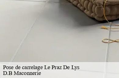 Pose de carrelage  le-praz-de-lys-74440 D.B Maconnerie