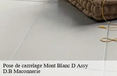 Pose de carrelage  mont-blanc-d-assy-74480 D.B Maconnerie