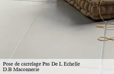 Pose de carrelage  pas-de-l-echelle-74100 D.B Maconnerie