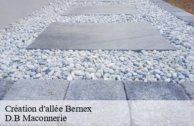 Création d'allée  bernex-74500 D.B Maconnerie