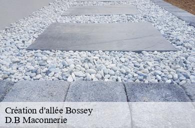 Création d'allée  bossey-74160 D.B Maconnerie