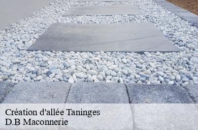 Création d'allée  taninges-74440 D.B Maconnerie