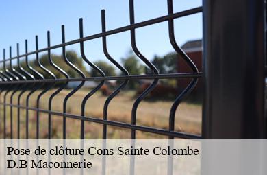 Pose de clôture  cons-sainte-colombe-74210 D.B Maconnerie